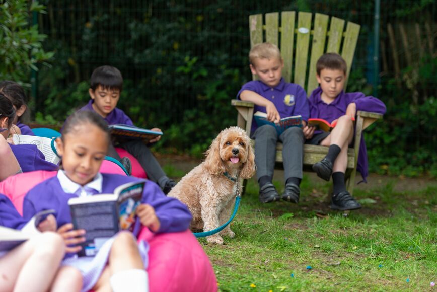 to the new Crofton Junior School website! Crofton News